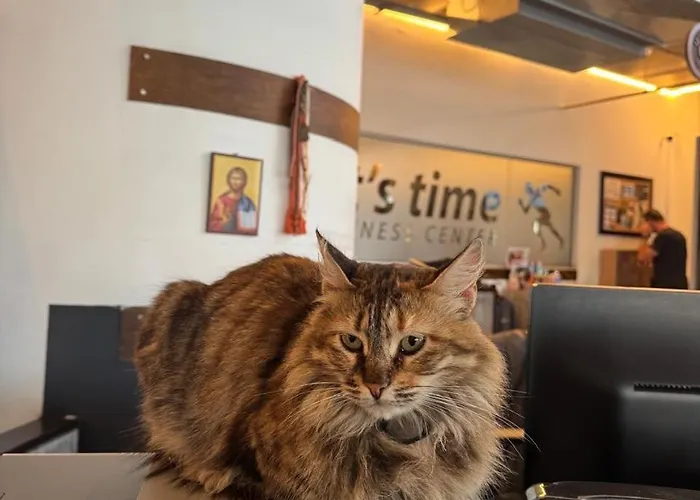 Raam Luxury Lárnaca